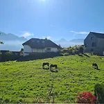 Apartamento Cozy In Sunny Village
